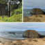 Seal Rock State Recreation Site