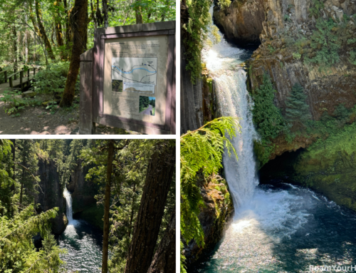 Toketee Falls: One of Oregon’s prettiest waterfalls