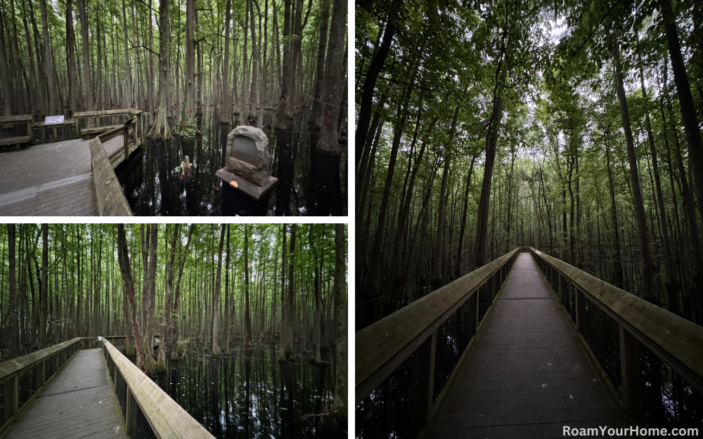 Louisiana Purchase State Park