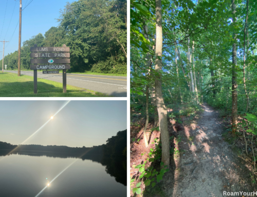 Lums Pond State Park: Swamp Forest Trail